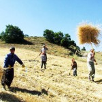 Kırsal Kalkınma