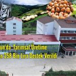 Giresun Tarım Destek